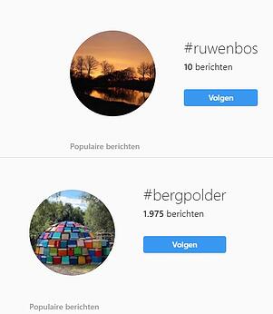 bergpolderruwenbos